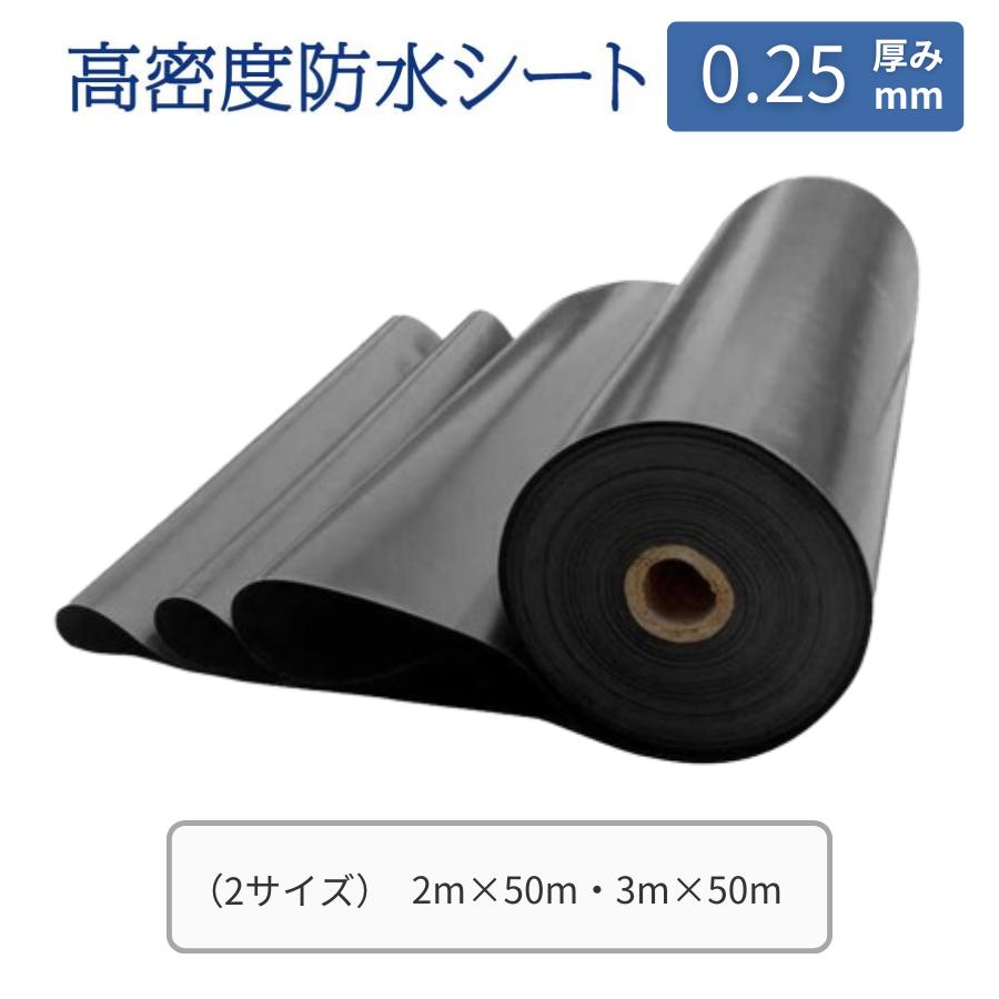通貨価値思いなおすの貼り出し