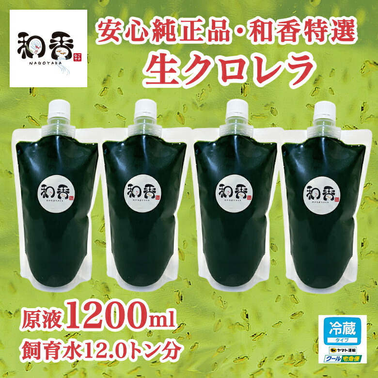 当社の 【クール便】和香特選生クロレラ原液50ml めだか金魚稚魚ミジンコPSBBA - 魚用品/水草 - www.qiraatafrican.com 当社の 【クール便】和香特選生クロレラ原液50ml めだか金魚稚魚ミジンコPSBBA - 魚用品/水草 - www.qiraatafrican.com