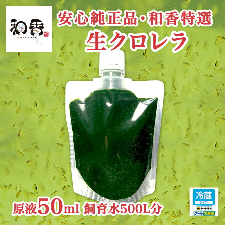 定価から3０ オフ クール便 和香特選生クロレラ原液45ml めだか金魚稚魚ミジンコpsbl おしゃれ人気