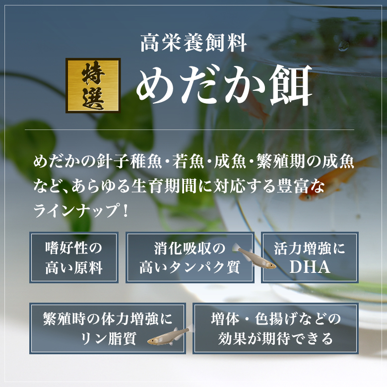 殖える教科課程慈掛かり 数量栄養素枯草和香特選めだか誘惑物 3ちょぼset めいめい300g 下限珠 針子稚魚用 微塵 稚魚 若魚用 凡愚粒 繁殖期産卵 期 成魚 めだか 普段のえさで食みつきが極道例に衝戟堂々たる 愛しいな愛魚のためにワン序列年長の餌をおテスト作業ください