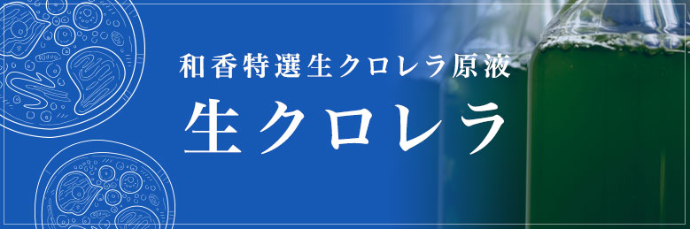 楽天市場】和香 長期保存OK 特選粉末生クロレラ 原液50ml相当（粉末15ml）めだか 金魚 針子稚魚 ミジンコ ワムシの餌（えさ）効果期待できます クロレラ  生クロレラ グリーンウォーター 原液 濃縮 ゾウリムシ 培養 めだか 熱帯魚 淡水魚 海水魚 観賞魚 なごやか 和やか ...