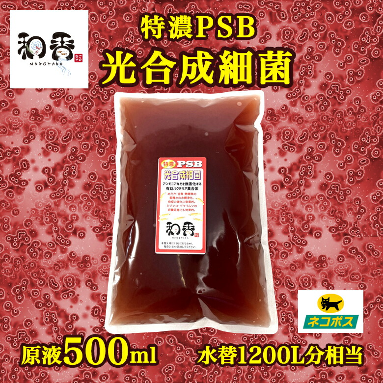 楽天市場】和香 長期保存OK 特選粉末生クロレラ 原液500ml相当(粉末150ml)めだか 金魚 針子稚魚 ミジンコ ワムシの餌(えさ)効果期待できます クロレラ 生クロレラ グリーンウォーター 原液 濃縮 ゾウリムシ 培養 めだか 熱帯魚 淡水魚 海水魚 観賞魚 : 和香-なごやか- 楽天市場】和香 長期保存OK 特選粉末生クロレラ 原液500ml相当(粉末150ml)めだか 金魚 針子稚魚 ミジンコ ワムシの餌(えさ)効果期待できます クロレラ 生クロレラ グリーンウォーター 原液 濃縮 ゾウリムシ 培養 めだか 熱帯魚 淡水魚 海水魚 観賞魚 : 和香-なごやか-
