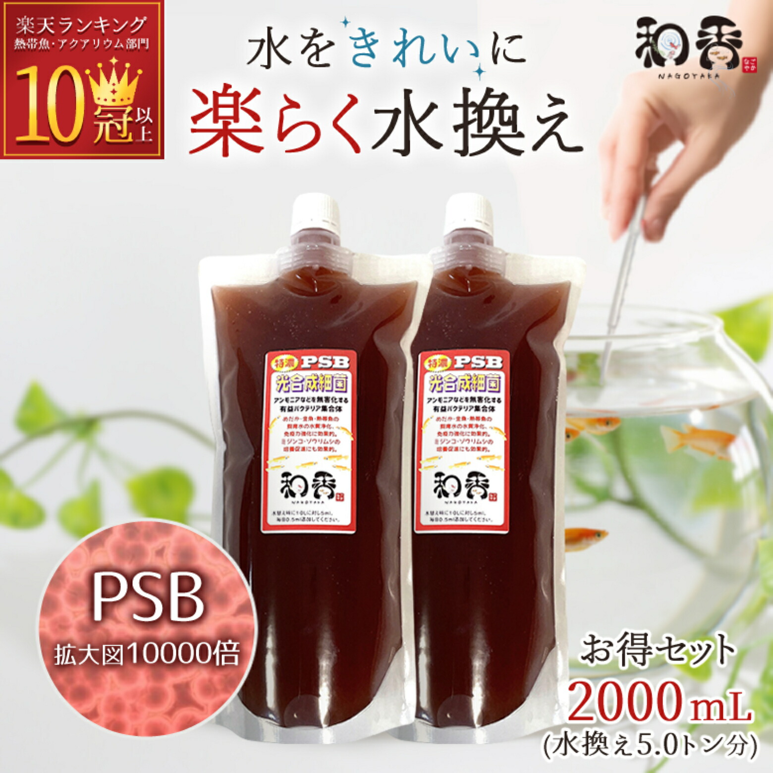 【楽天市場】PSB 光合成細菌 メダカ 金魚 鯉 熱帯魚用 濃縮 1000ml 送料無料 培養 培基 針子 稚魚 餌 生き餌 農業 園芸 畑 水質浄化  水槽 掃除 水替え アクアリウム 水草 シュリンプ ミジンコ ゾウリムシ 亀 ベタ アンモニア : 和香 メダカ熱帯魚アクアリウム