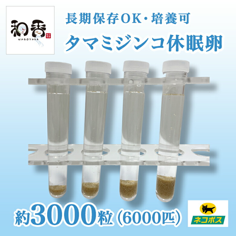 日本最大級の品揃え 和香 タマミジンコ休眠卵3000粒 6000匹 長期保存 めだか 金魚 らんちゅう グッピーなどの活餌に最適 ミジンコ みじんこ タマミジンコ メダカ 稚魚 熱帯魚 観賞魚 餌 生餌 生き餌 エサ えさ 繁殖 増殖 飼育 アクアリウム 水槽 なごやか 和やか