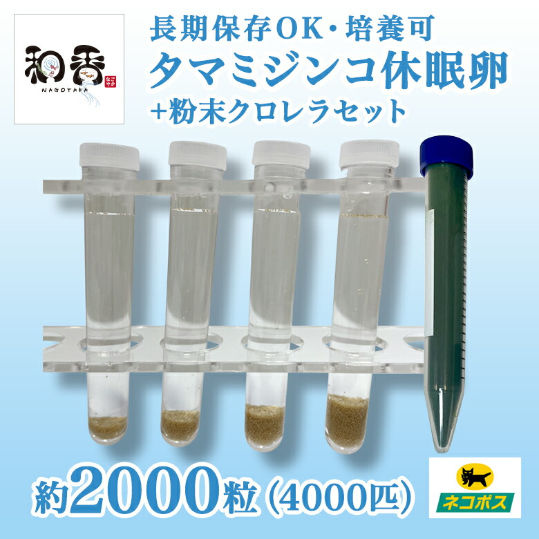 長期保存】和香特選粉末生クロレラ150ml めだか金魚稚魚ミジンコPSBG