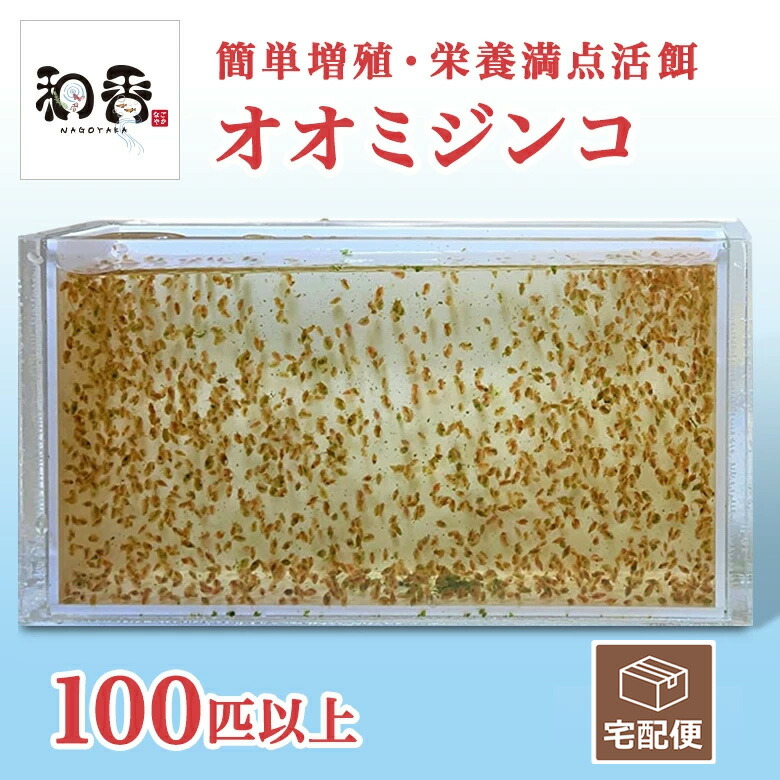 楽天市場】和香 長期保存OK 特選粉末生クロレラ 原液500ml相当(粉末150ml)めだか 金魚 針子稚魚 ミジンコ ワムシの餌(えさ)効果期待できます クロレラ 生クロレラ グリーンウォーター 原液 濃縮 ゾウリムシ 培養 めだか 熱帯魚 淡水魚 海水魚 観賞魚 : 和香-なごやか- 楽天市場】和香 長期保存OK 特選粉末生クロレラ 原液500ml相当(粉末150ml)めだか 金魚 針子稚魚 ミジンコ ワムシの餌(えさ)効果期待できます クロレラ 生クロレラ グリーンウォーター 原液 濃縮 ゾウリムシ 培養 めだか 熱帯魚 淡水魚 海水魚 観賞魚 : 和香-なごやか-