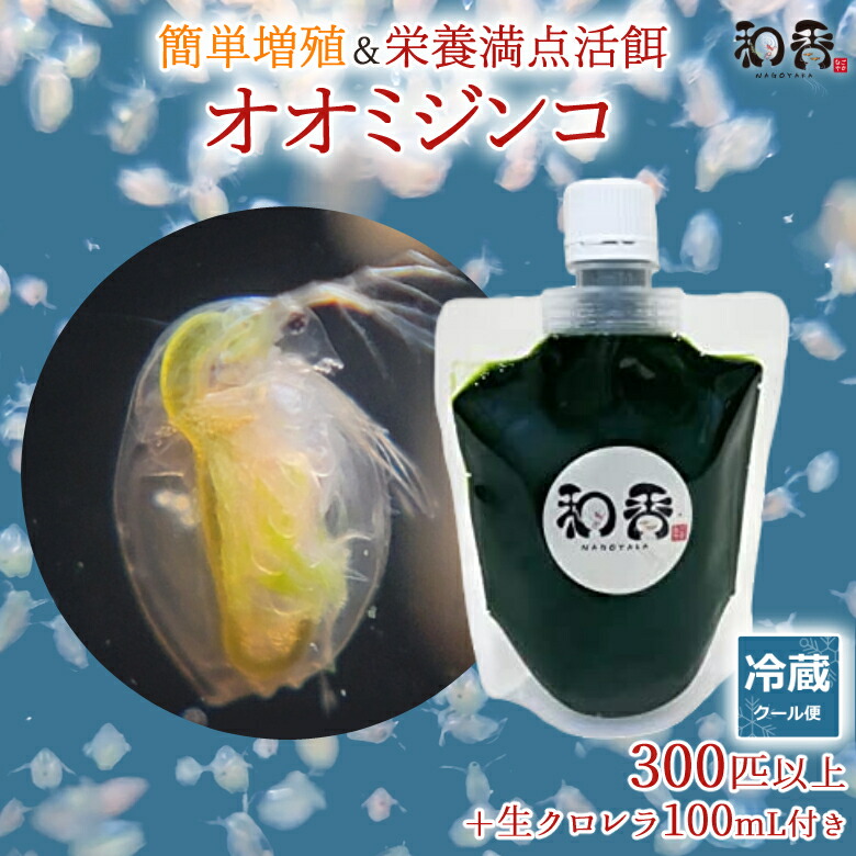 楽天市場】オオミジンコ 100匹 + 生クロレラ 100ml 冷蔵便 動画説明付 めだか・金魚・らんちゅう・グッピーの活餌に ミジンコ みじんこ タマミジンコ  めだか メダカ 金魚 熱帯魚 観賞魚 餌 生餌 エサ えさ 繁殖 増殖 飼育 アクアリウム 水槽 クロレラ : 和香 メダカ熱帯魚 ...