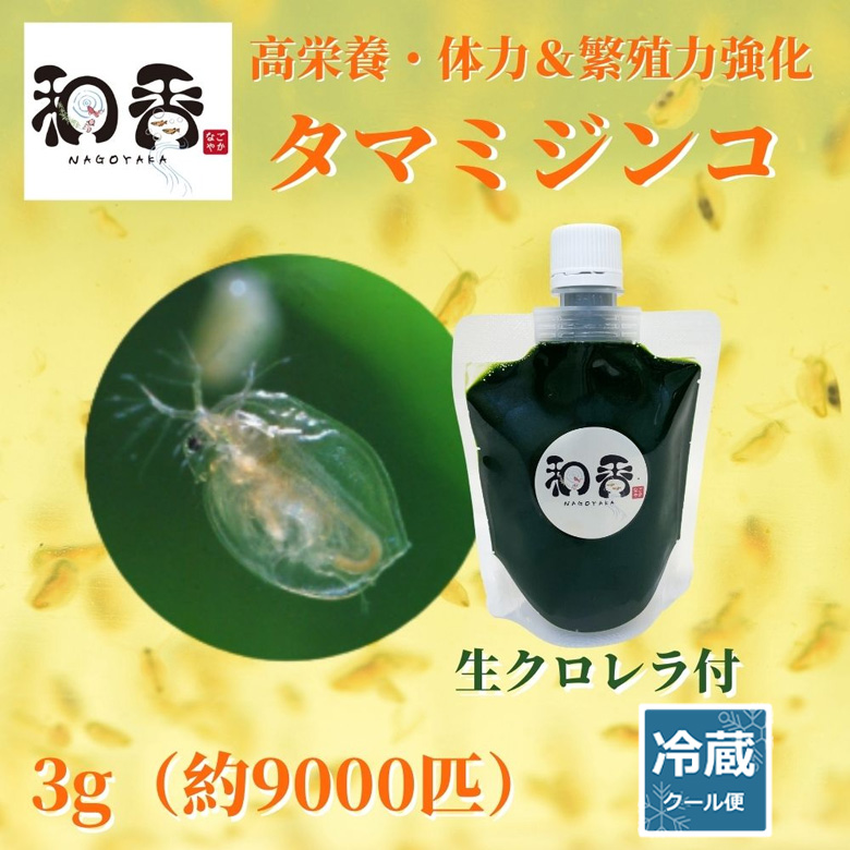 和香特選粉末生クロレラ50ml 関連:めだか金魚稚魚ミジンコPSBP - 魚用品