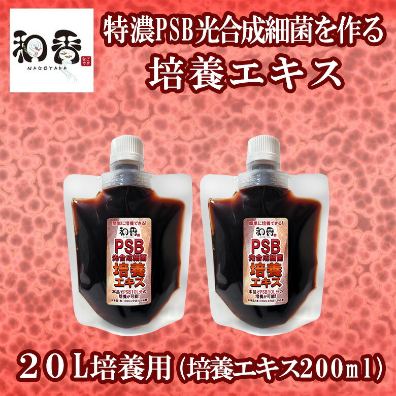 【楽天市場】ポイント10倍送料無料 PSB 光合成細菌 培養エキス 10L培養用 （培養エキス100ml）特濃PSB光合成細菌を作る培養エキス  動画説明書付 バクテリア 専用培養エキス と詳しい説明書付き psb 光合成細菌 めだか らんちゅう 金魚 熱帯魚 免疫力強化 ...