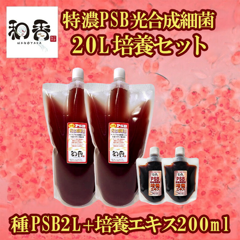 シナノの森様限定商品］ 明
