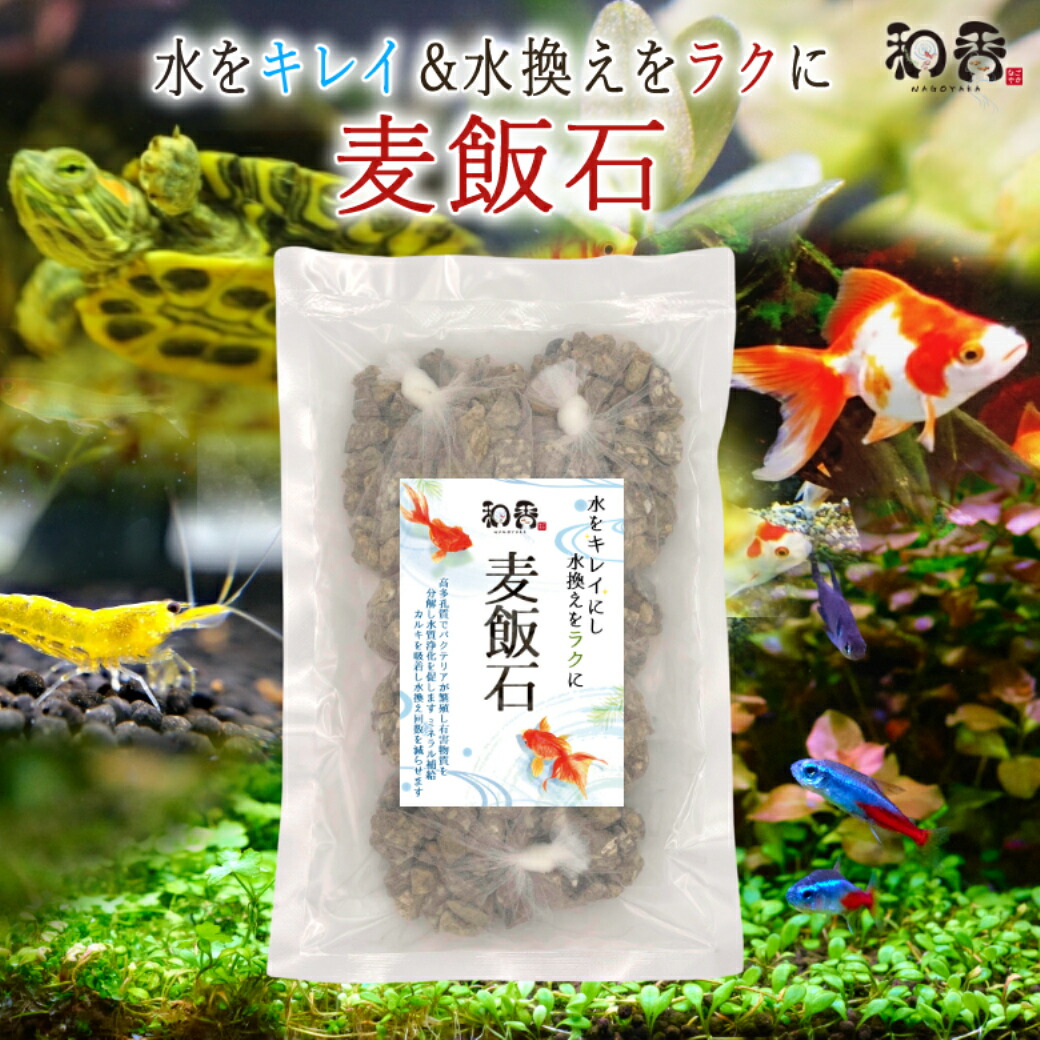 アクアリウム用 麦飯石 (24mm) 15kg 水質改善 バクテリア繁殖 メダカ 楽天市場】和香 麦飯石 500g(100g5袋入) 観賞魚 メダカ 金魚 熱帯魚
