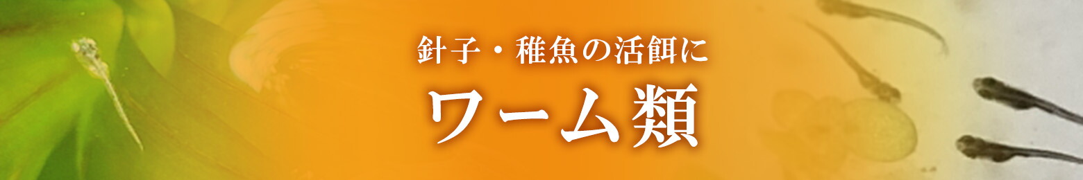 楽天市場】生クロレラ【クール便】☆純正品☆和香 特選生クロレラ 原液200mLめだか 金魚 稚魚針子 歩留まり解消水質環境 成長に最適なグリーンウォーター 生存率アップが期待できますミジンコ ワムシ ゾウリムシ 培養 増殖 越冬 繁殖 餌 えさ エサ なごやか 和やか : 和香 ... 楽天市場】生クロレラ【クール便】☆純正品☆和香 特選生クロレラ 原液200mLめだか 金魚 稚魚針子 歩留まり解消水質環境 成長に最適なグリーンウォーター 生存率アップが期待できますミジンコ ワムシ ゾウリムシ 培養 増殖 越冬 繁殖 餌 えさ エサ なごやか 和やか : 和香 ...
