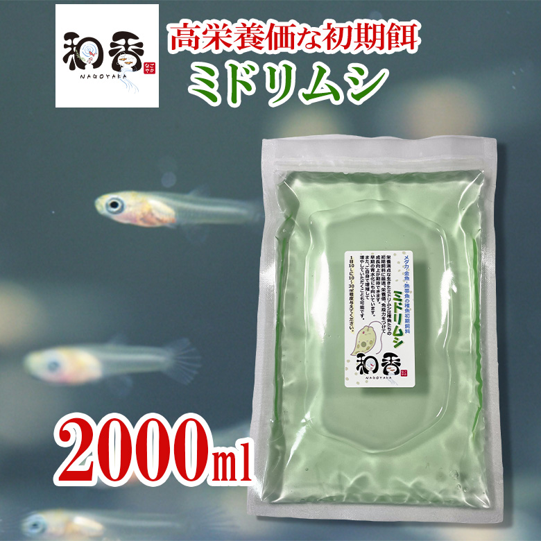 定価 和香 ミドリムシ ユーグレナ 00ml 液体肥料 詳しい培養マニュアル付 めだか メダカ 金魚 稚魚針子 栄養高い 生餌 えさグリーンウォーター 青水 化に効果的 なごやか 和やか Toyama Nozai Co Jp