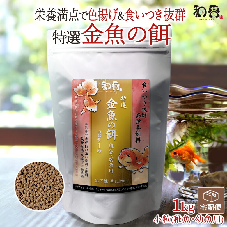 絶版品】ウキコン（）◇錦鯉・金魚・メダカ等の隔離/飼育に/輸送前のエサ切に ファッション