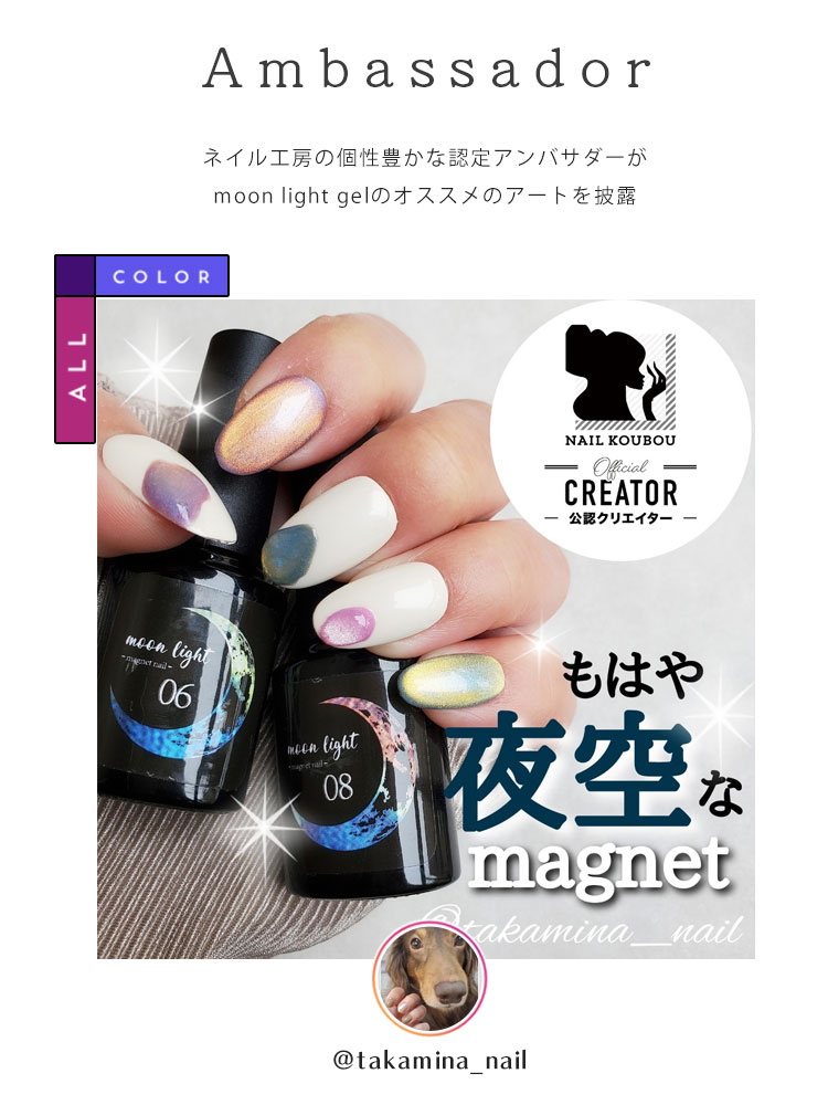 全12色セット】or【新色4本セット】マグネットネイル 偏光