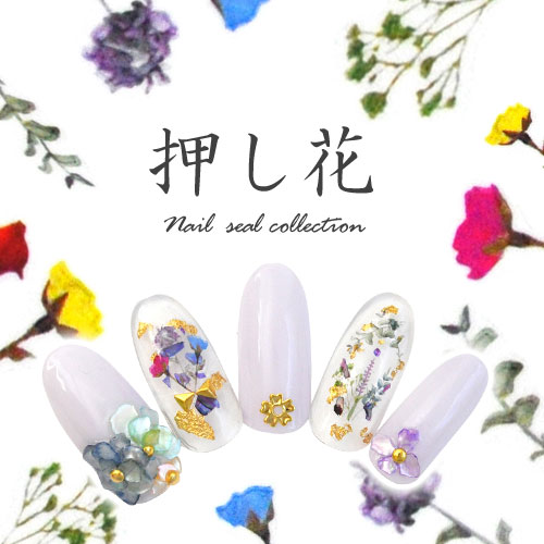楽天市場 押し花ネイルシール 極薄 押し花 押花 ドライフラワー 不透明 カラージェル と相性抜群 ネイルアート ネイルシール フラワー ジェルネイル ジェル ネイル パーツ ネイルパーツ ネイル用品 花 シール ジェルネイルシール ネイルジェル 花柄 アート ネイル工房 楽天市場 押し花ネイルシール 極薄 押し花 押花 ドライフラワー 不透明 カラージェル と相性抜群 ネイルアート ネイルシール フラワー ジェルネイル ジェル ネイル パーツ ネイルパーツ ネイル用品 花 シール ジェルネイルシール ネイルジェル 花柄 アート ネイル工房