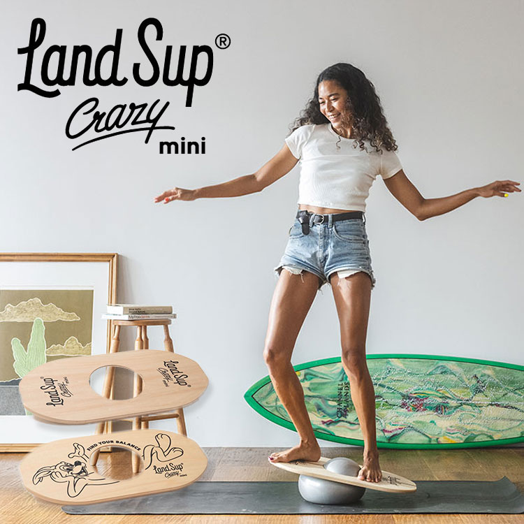 【楽天市場】バランスボード LandSup Crazy mini ランドサップ