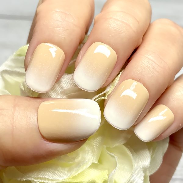 ネイルチップ　オーダー白グラ　埋め尽くし　ワンホンネイル　ベイビーブーマー ベイビーブーマー 埋め尽くしネイル ワンホン 韓国 | piinail