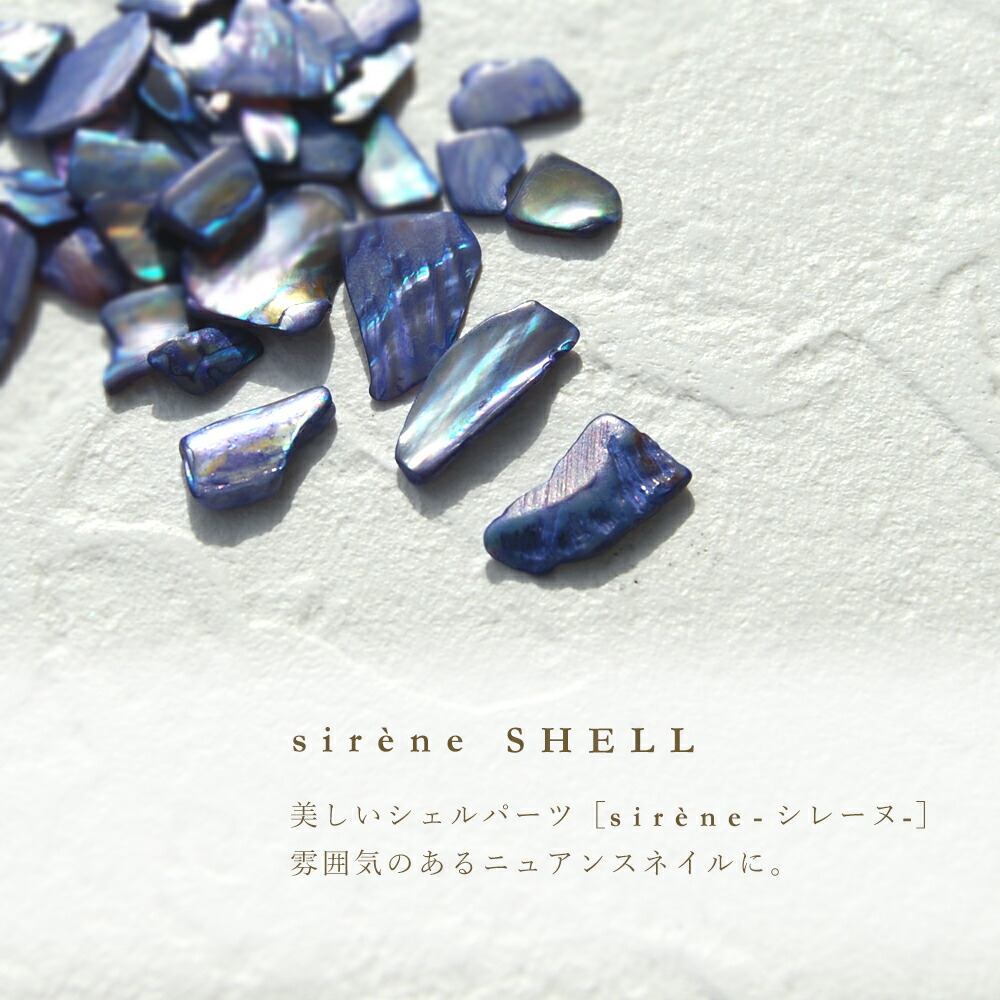 シェルパーツシレーヌ3