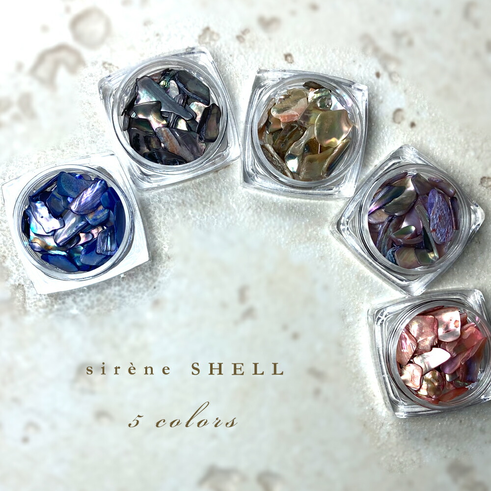シェルパーツシレーヌ6