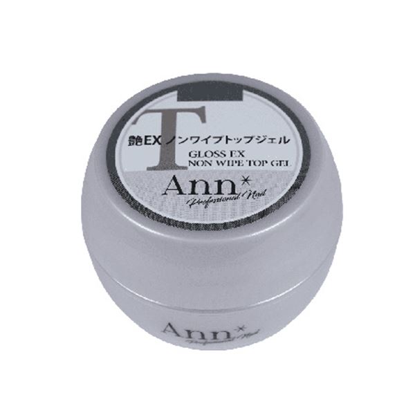 Ann Professional 艶 EX ノンワイプトップジェル 25g