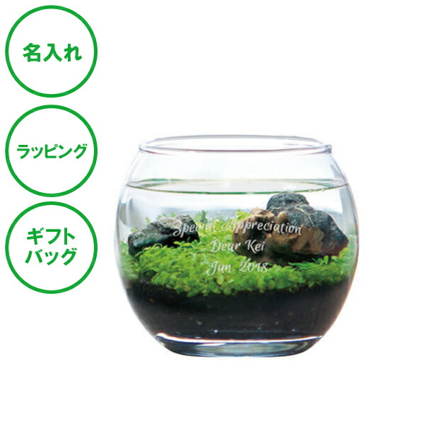 名入れ アクアリウムキット S 送料無料 水草 栽培セット 癒し 水景 ラッピング ギフトバッグ プレゼント クリスマス ホワイトデー 彼氏 彼女 カップル 誕生日 父の日 母の日 誕生日 夫婦 結婚祝い 敬老の日 お土産