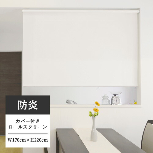【最大★10%オフクーポン】 カバー付 ロールスクリーン フルネス エクシヴ エクシブ 防炎(無地)タイプ 規格品 幅170cm 高さ220cm インテリア カーテン ブラインド 窓 DIY リフォーム