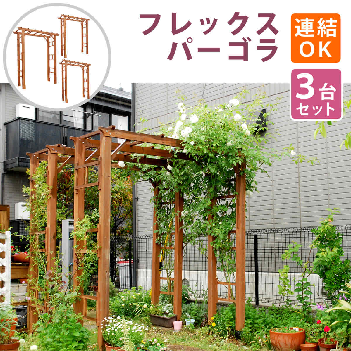天然木製フレックスパーゴラアーチ190 ダークブラウン ホワイト トレリス フェンス 屋外 薔薇 北欧 園芸支柱 園芸支柱 ブラウン ツタ おしゃれ 3台組 アーチ 木製 おしゃれ 園芸支柱 内装本舗天然木製 フェンス 北欧 ツタ バラ バラ ナチュラル 家具 門 蔦 蔦 天然木製フレックスパーゴラアーチ190 ダークブラウン ホワイト トレリス フェンス 屋外 薔薇 北欧 園芸支柱 園芸支柱 ブラウン ツタ おしゃれ 3台組 アーチ 木製 おしゃれ 園芸支柱 内装本舗天然木製 フェンス 北欧 ツタ バラ バラ ナチュラル 家具 門 蔦 蔦