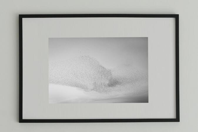 作物 作物細工物 室内装飾 活動写真 額装細工物 額付き添い人 作物ダイアログボックス 飾りつけ作物 作物ゲーム盤 飾りつけ 今めかしい作物 作物映し絵 泊まり 食べ物屋 鳥 ムクドリ  Tori #1 black wooden frame 50cm×70糎付き添い人 ( L )