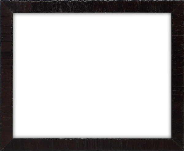 【楽天市場】デッサン額縁 カリマンタン/セピア 八つ切サイズ（303×242mm） 前面アクリル仕様 （ラーソン・ジュール）：額縁専門店ないとう