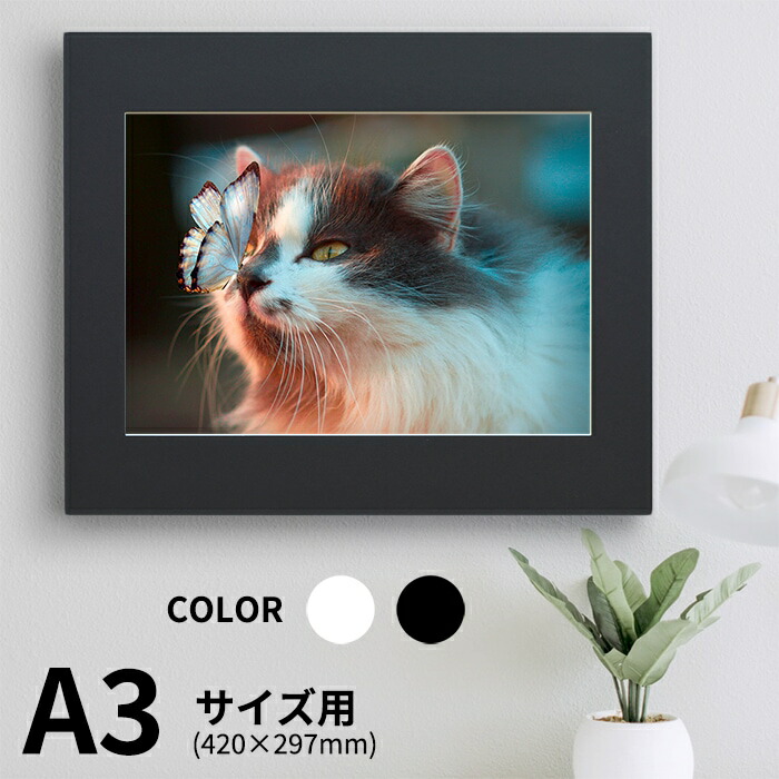 SL写真(額縁入り) 1_000000024316.jpg