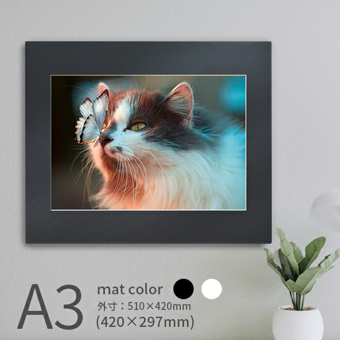 楽天市場】写真パネル 写真A2サイズ用（594×420mm）入れ替え簡単、軽量