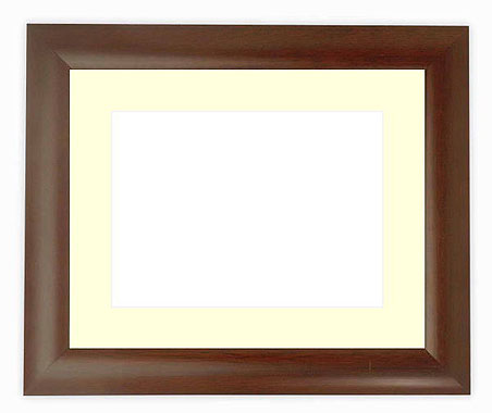 楽天市場】押し花額縁 9650/ブラウン 36額サイズ（ガラス寸法358×288mm