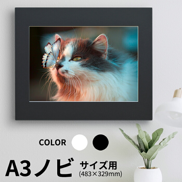 写真パネル cb65937c543355d04deca7bbd6238f