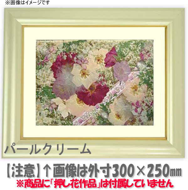 Naito Frame Rakuten Global Market Pressed Flower Picture Pressed Flower Picture Frame Craft Type Pearl Cream Small All Size Glass Dimensions 657 506 Mm
