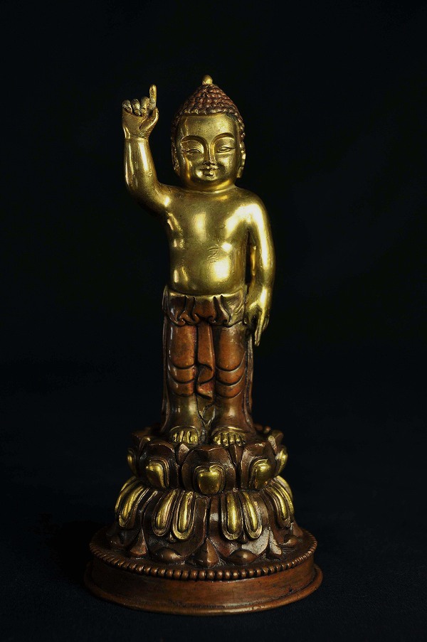 【楽天市場】釈迦誕生仏 銅造鍍金：仏像仏画チベット美術卸の天竺堂