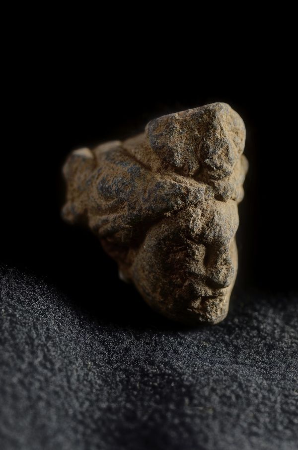 楽天市場】ガンダーラ仏 仏陀頭部 2-4世紀石像 : 仏像仏画チベット美術