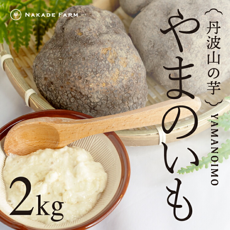 【楽天市場】【レシピ付き】贈答用 丹波 山の芋 やまのいも 2kg 丹波産 とろろ 山芋 いも 芋 おいも 兵庫県 なかで農場 NAKADE ...