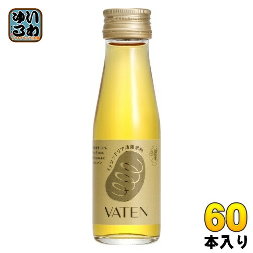 無添加VATEN ノンカフェイン 100ml×10本入り x2箱 福光屋 エナジー ドリンク VATEN バテン 100ml 10本 栄養