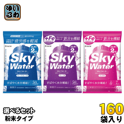 スカイウォーターグレープフルーツ味 1L用×240袋 翌日発送！粉末飲料クラシエ スカイウォーターグレープフルーツ味 1L用×240袋 翌日発送！粉末