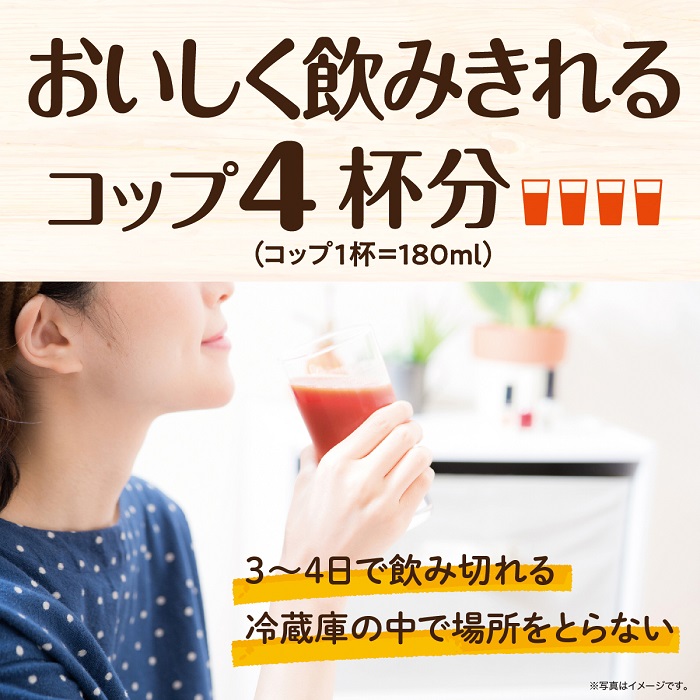 定番の人気シリーズPOINT(ポイント)入荷 伊藤園 1日分の野菜 740g ペットボトル 30本 15本入×2 まとめ買い 〔野菜ジュース〕  www.tacoya3.com