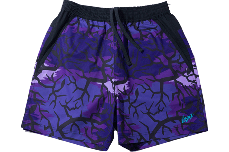 CAMOUFLAGE SHORTS / カモフラージュ ショーツ【2402-2003】(LEGIT レジット メンズ ユニセックス プラクティスパンツ パープル)