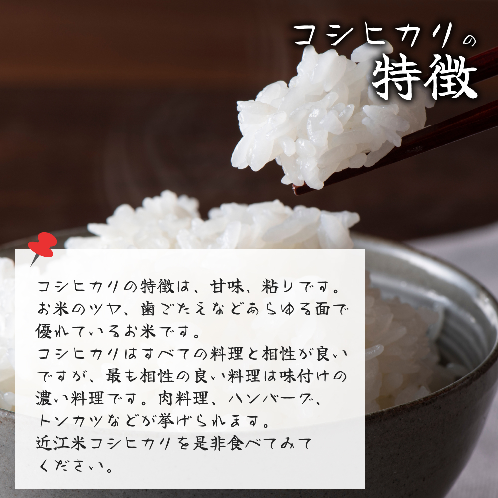 令和5年産 新米 近江米 白米2kg 滋賀県産 コシヒカリ100% 産地直送