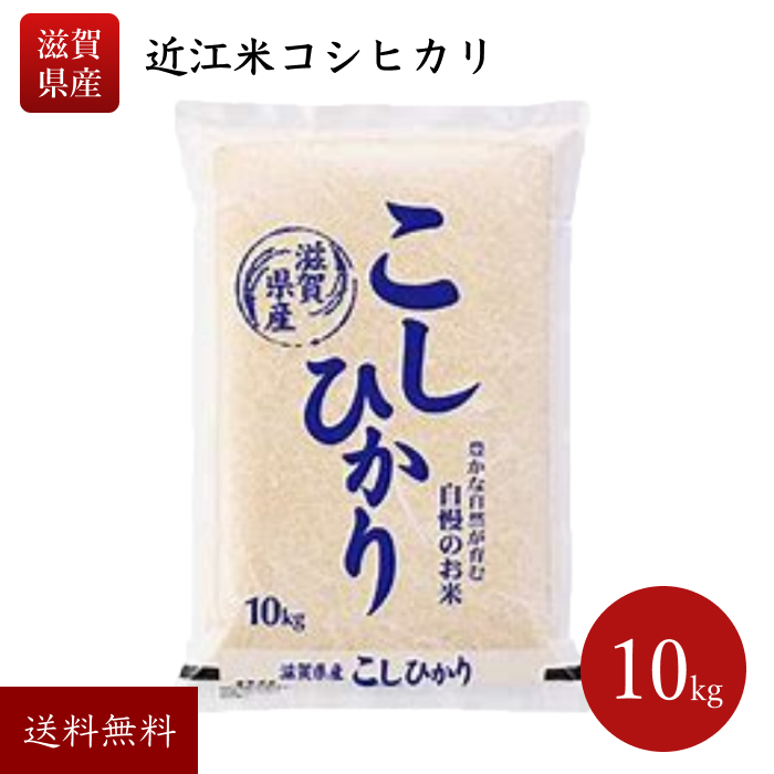 【楽天市場】令和5年産 滋賀県産 10キロ キヌヒカリ 近江米 きぬ 