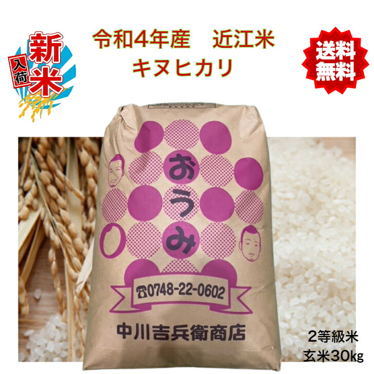 令和5年産 新米 近江米 滋賀県産 コシヒカリ100% 白米15kg 産地直送