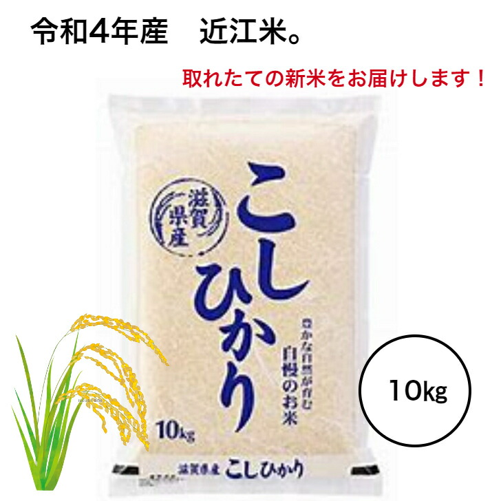 近江米 滋賀県産 新米 コシヒカリ100% 令和4年産 白米15kg 産地直送