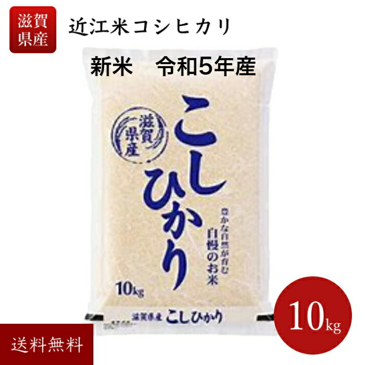 【楽天市場】令和5年産 滋賀県産 10キロ キヌヒカリ 近江米 きぬ