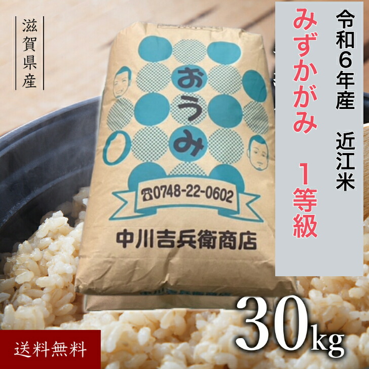 楽天市場】国産 ブレンド米 近江米 滋賀県産 精米 10kgこめ お米 オコメ 白米 精米 滋賀 美味しい米 滋賀県 米 お取り寄せ 美味しいお米  ブレンド ご当地 お米10kg 10キロ 10k 米10キロ 10 白米10キロ お米10 お米10キロ 米10k 米10kg 送料無料 おいしい  贈り物 仕送り