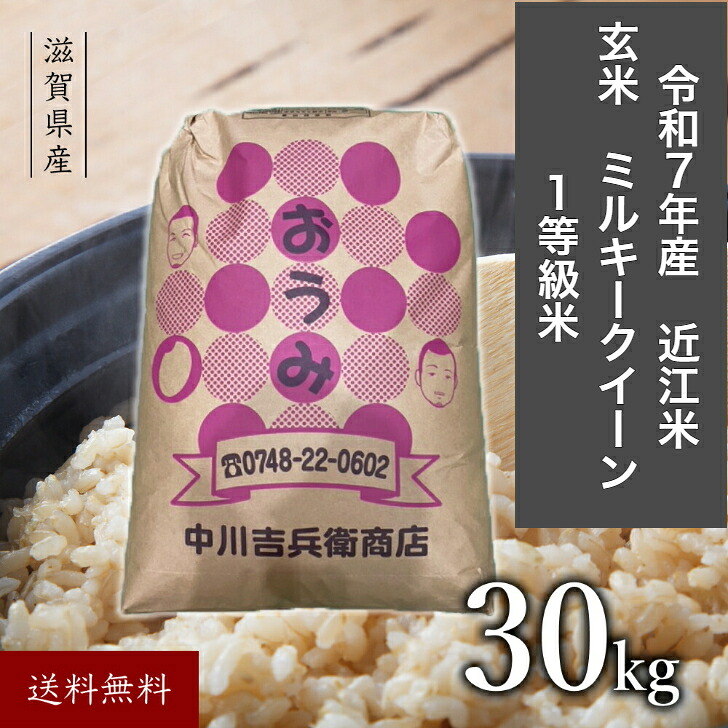 米・雑穀 近江米 令和7年 玄米 30kg 滋賀県産 ミルキークイーン 送料