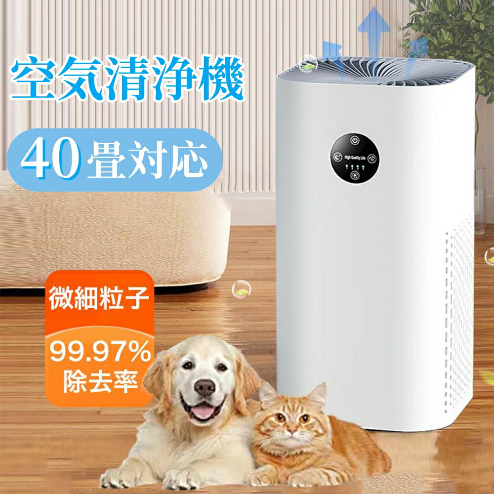 電動物の具おすすめ一般受け度合い【2024年12月最新版】